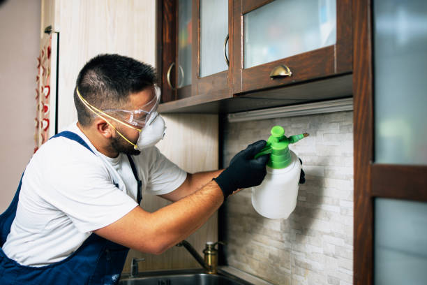 Pest Control for Restaurants in Woodbine, IA