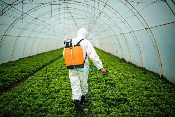 Professional Pest Control in Woodbine, IA
