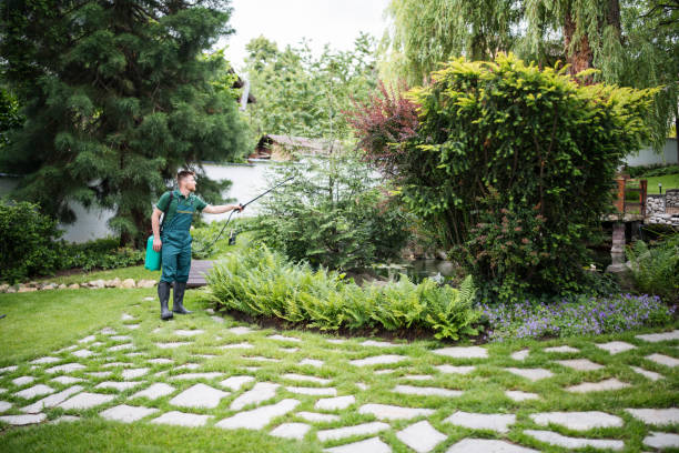 Best Cockroach Control Services  in Woodbine, IA