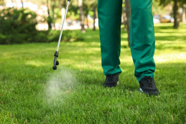 Best Affordable Exterminators  in Woodbine, IA