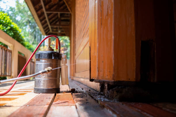 Best Best Pest Control Companies  in Woodbine, IA