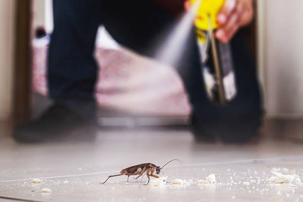 Best Wildlife Control Services  in Woodbine, IA
