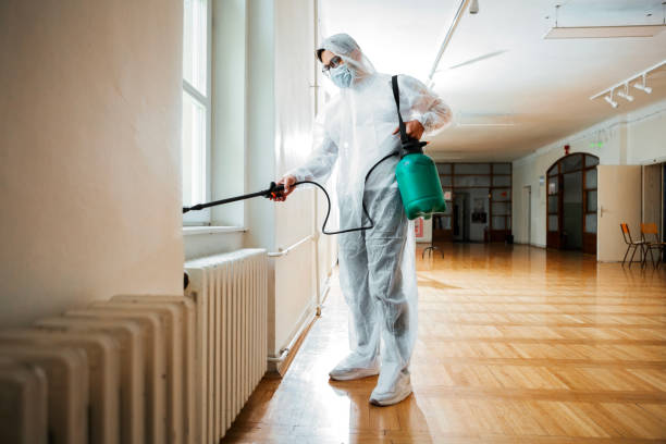 Best Wasp Removal Services  in Woodbine, IA