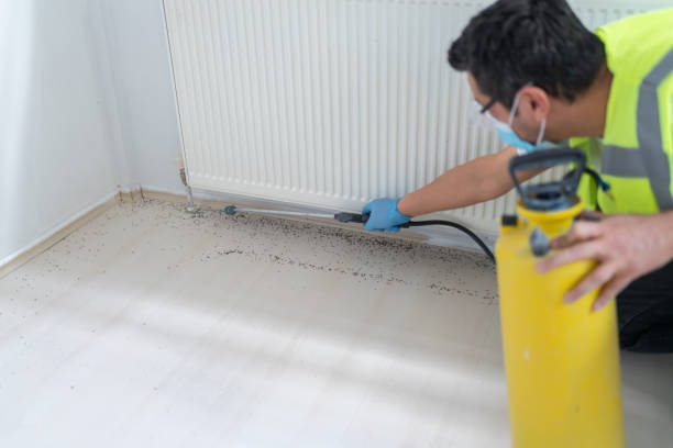 Best Termite Control Services  in Woodbine, IA