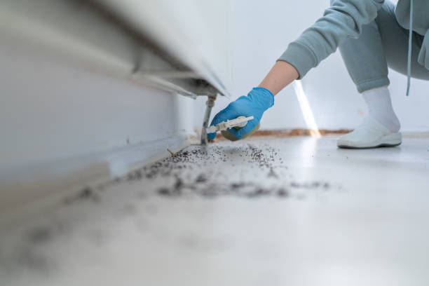 Best Commercial Pest Control Services  in Woodbine, IA